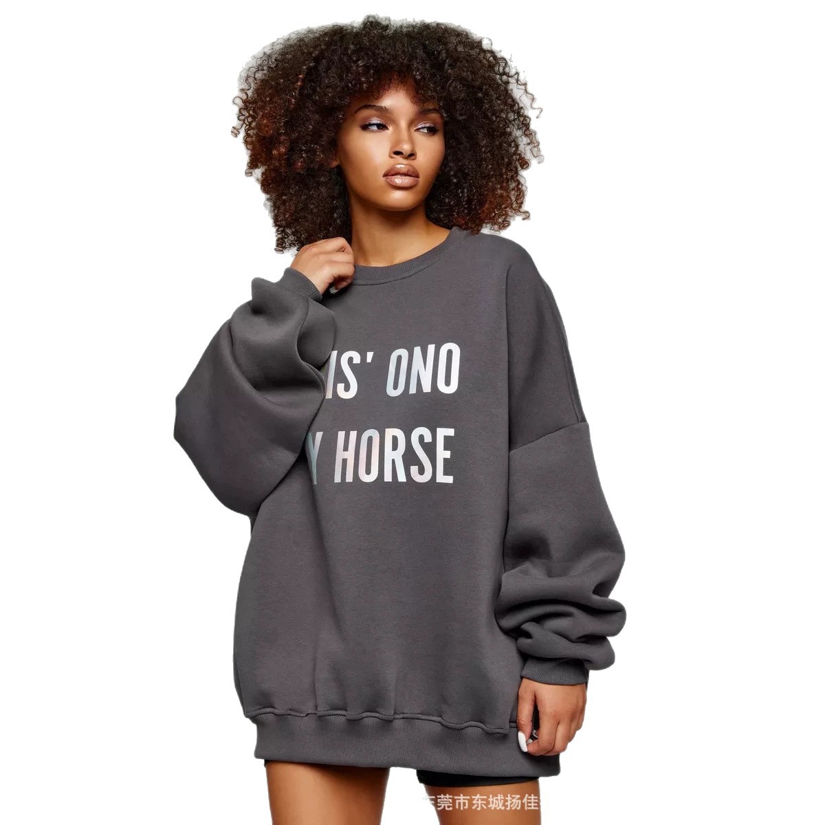 소프트 플리스 Y2K 스트리트웨어 여성용 오버사이즈 크 - Oversized Crewneck Fleece 리뷰 및 가격